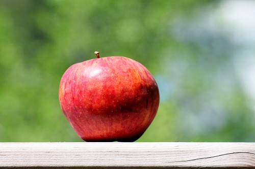 Red-Apple.jpg